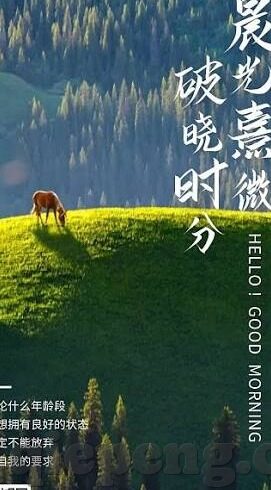 麻豆影视app哪里可以下载-发现精彩，探索麻豆影视app的下载途径