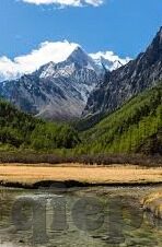 欧美中文字幕无线码视频-欧美影视新视界，解锁中文字幕的无限魅力