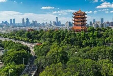 人妻白洁小说-探寻人妻白洁小说，情感与伦理的交织画卷