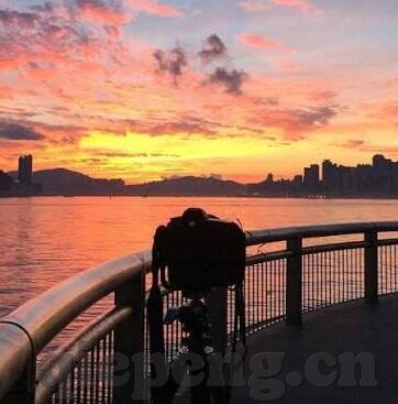糖心vlog免费官网入口-糖心Vlog，开启线上互动新体验的免费平台