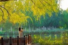 亚洲不卡av不卡一区二区-亚洲影视文化的多元视角，探索不卡av一区二区的文化与影响